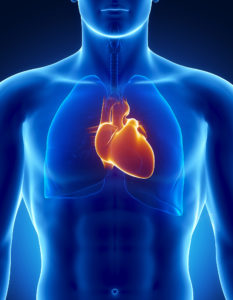 Human heart , heart disease
