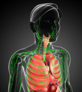Lymphatic System and Lungs Difficulty Breathing