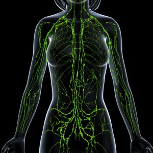 Green Lymphatic System Lady New
